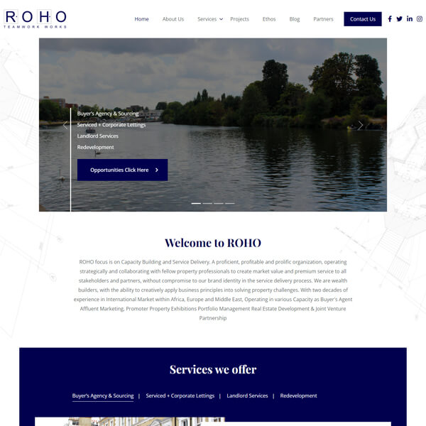 Roho Projects